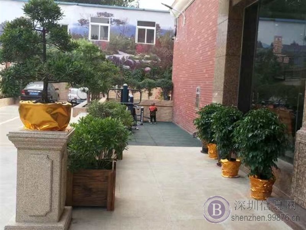 塘厦中心首付15万买三房
