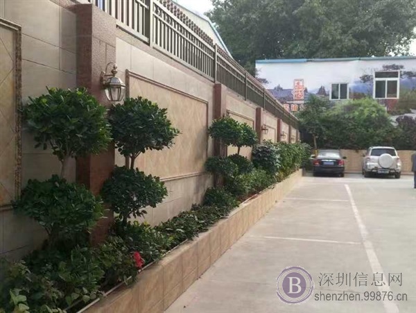 塘厦中心首付15万买三房